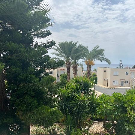 Modern Seaview Townhouse In Coral Bay (Adults Only) Daire Peyia Dış mekan fotoğraf