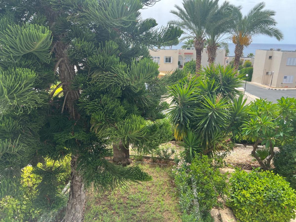 Modern Seaview Townhouse In Coral Bay (Adults Only) Daire Peyia Dış mekan fotoğraf