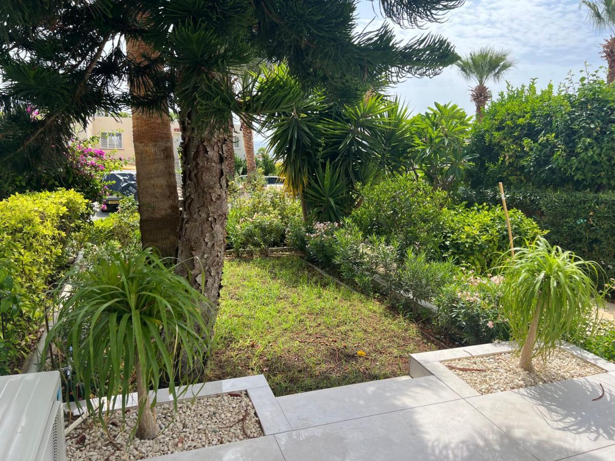 Modern Seaview Townhouse In Coral Bay (Adults Only) Daire Peyia Dış mekan fotoğraf