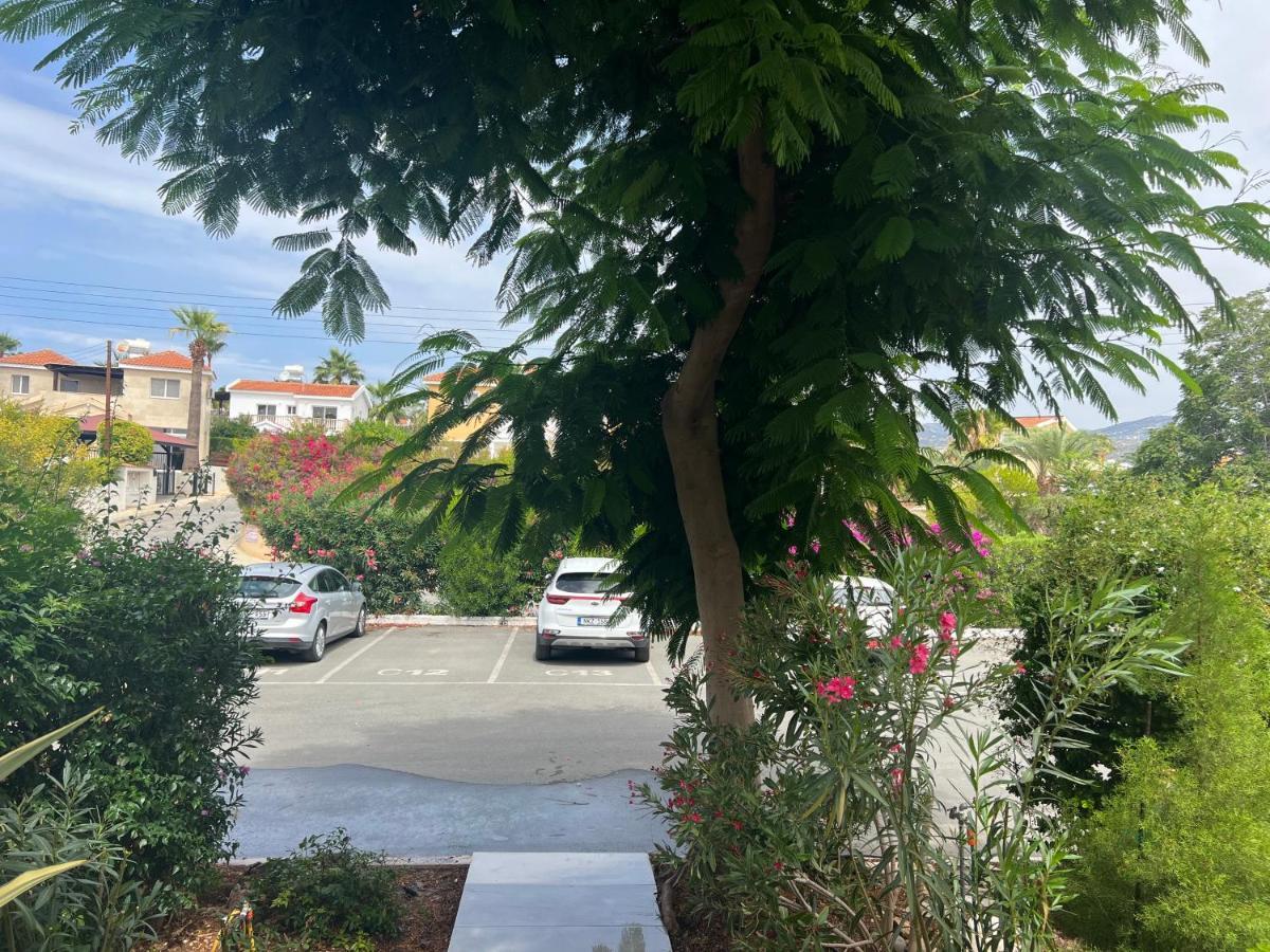 Modern Seaview Townhouse In Coral Bay (Adults Only) Daire Peyia Dış mekan fotoğraf