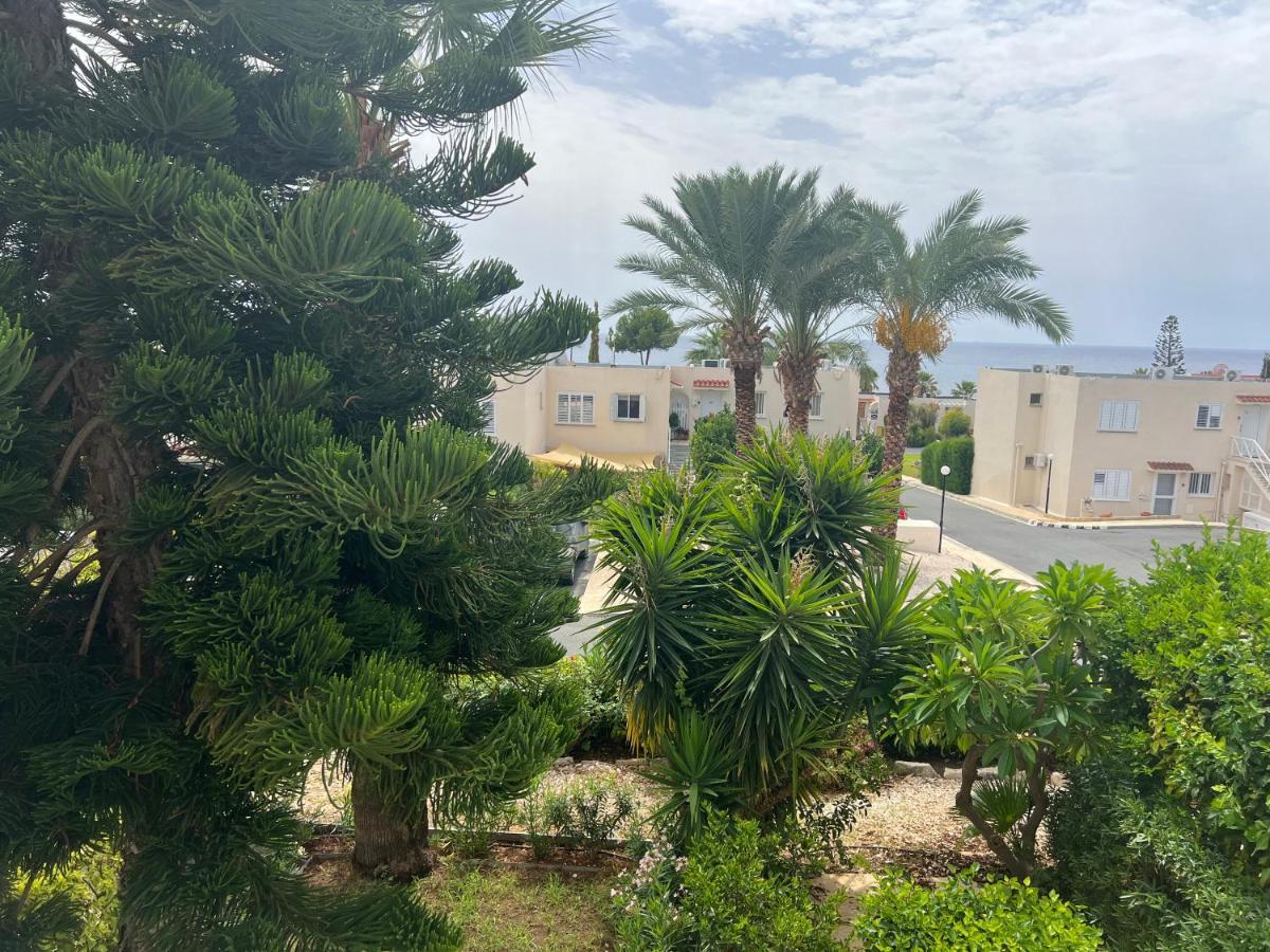 Modern Seaview Townhouse In Coral Bay (Adults Only) Daire Peyia Dış mekan fotoğraf