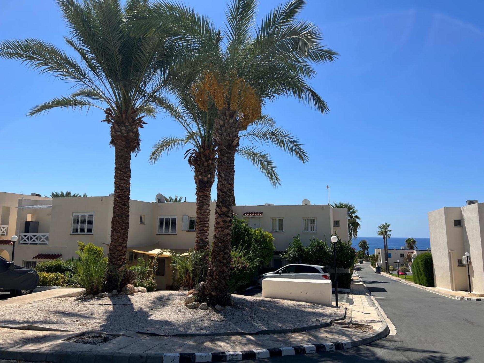 Modern Seaview Townhouse In Coral Bay (Adults Only) Daire Peyia Dış mekan fotoğraf