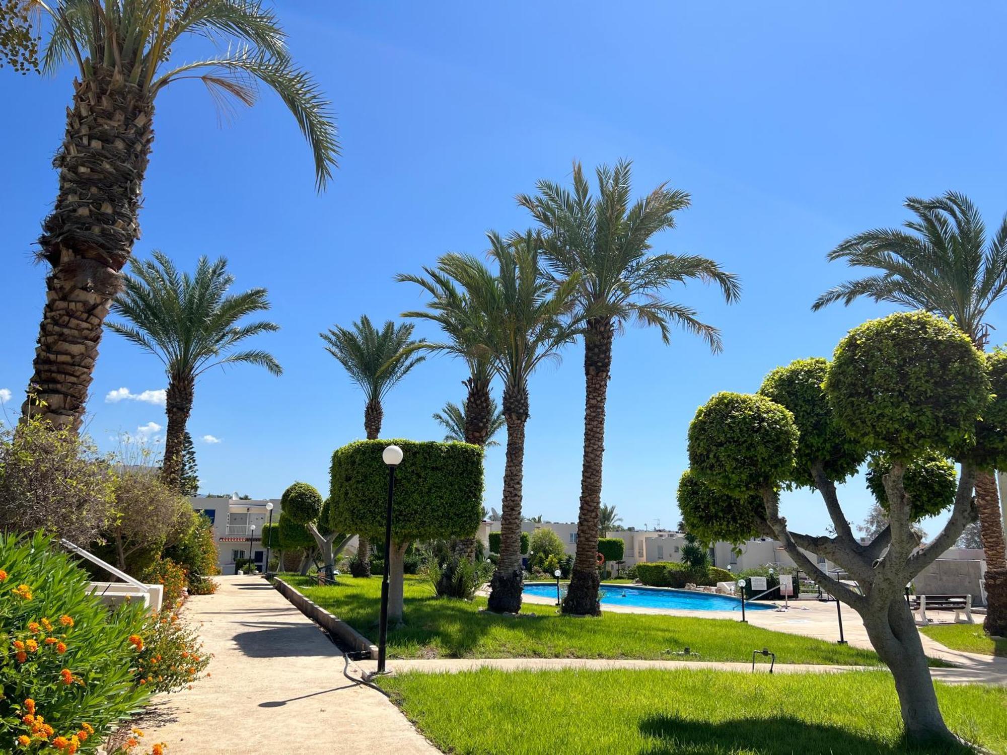 Modern Seaview Townhouse In Coral Bay (Adults Only) Daire Peyia Dış mekan fotoğraf